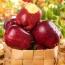 Táo red delicious (táo đỏ) nhập khẩu, sản phẩm an toàn